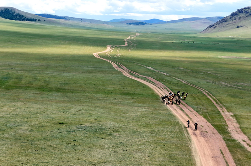 Mountain biking tours in Mongolia